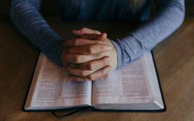 Orar con los salmos (Feb. 2025)